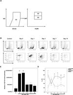 CD11b Antibody in Flow Cytometry (Flow)