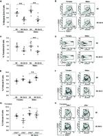 CD21/CD35 Antibody in Flow Cytometry (Flow)