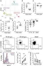 CD45RO Antibody in Flow Cytometry (Flow)