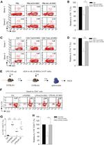 CD3e Antibody in Flow Cytometry (Flow)