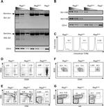 CD43 Antibody in Flow Cytometry (Flow)