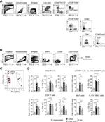 IFN gamma Antibody in Flow Cytometry (Flow)