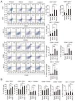 CD86 (B7-2) Antibody in Flow Cytometry (Flow)