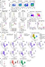 CD314 (NKG2D) Antibody in Flow Cytometry (Flow)