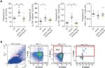 CD36 Antibody in Flow Cytometry (Flow)