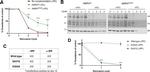 HA Tag Antibody in Western Blot (WB)