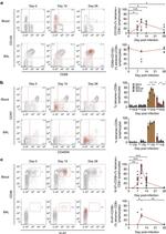 CD69 Antibody in Flow Cytometry (Flow)