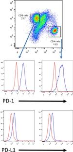 CD4 Antibody in Flow Cytometry (Flow)