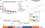 Tau Antibody in ELISA (ELISA)