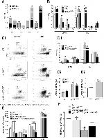 CD11c Antibody in Flow Cytometry (Flow)