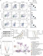 CD11b Antibody in Flow Cytometry (Flow)