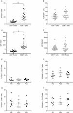 CD4 Antibody in Flow Cytometry (Flow)