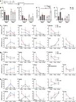 CD4 Antibody in Flow Cytometry (Flow)