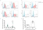 CD31 (PECAM-1) Antibody in Flow Cytometry (Flow)