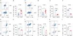 TNF alpha Antibody in Flow Cytometry (Flow)