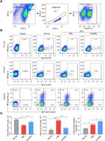 CD4 Antibody in Flow Cytometry (Flow)