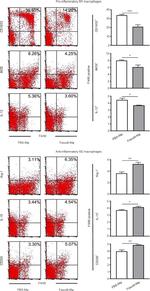 IL-10 Antibody in Flow Cytometry (Flow)