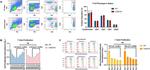 CD4 Antibody in Flow Cytometry (Flow)