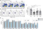 CD4 Antibody in Flow Cytometry (Flow)