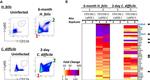 CD11b Antibody in Flow Cytometry (Flow)