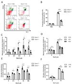 CD11b Antibody in Flow Cytometry (Flow)