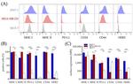 CD24 Antibody in Flow Cytometry (Flow)