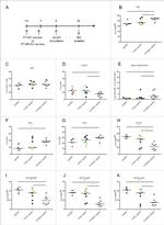 CD3e Antibody in Flow Cytometry (Flow)