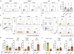 CD26 Antibody in Flow Cytometry (Flow)