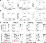 CD27 Antibody in Flow Cytometry (Flow)