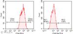 CD44H Antibody in Flow Cytometry (Flow)