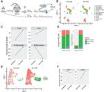 CD45 Antibody in Flow Cytometry (Flow)