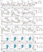 CD80 (B7-1) Antibody in Flow Cytometry (Flow)