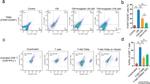 F4/80 Antibody in Flow Cytometry (Flow)