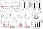 Arginase 1 Antibody in Flow Cytometry (Flow)