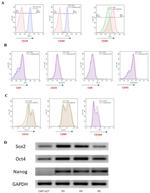 ITGB1 Antibody in Flow Cytometry (Flow)