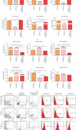 FOXP3 Antibody in Flow Cytometry (Flow)