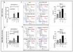 CD274 (PD-L1, B7-H1) Antibody in Flow Cytometry (Flow)