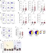 TNF alpha Antibody in Flow Cytometry (Flow)