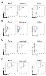 IL-13 Antibody in Flow Cytometry (Flow)