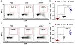 IFN gamma Antibody in Flow Cytometry (Flow)