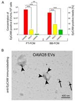 CD326 (EpCAM) Antibody in Flow Cytometry (Flow)