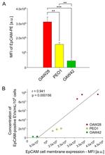 CD326 (EpCAM) Antibody in Flow Cytometry (Flow)