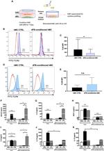 CD284 (TLR4) Antibody in Flow Cytometry (Flow)