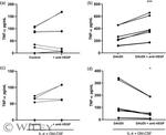 VEGF-165 Antibody in Neutralization (Neu)