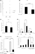 B7-H3 Antibody in Neutralization (Neu)