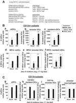 IRF4 Antibody in Flow Cytometry (Flow)