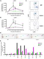 Ly-6C Antibody in Flow Cytometry (Flow)