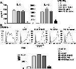 CD11c Antibody in Flow Cytometry (Flow)