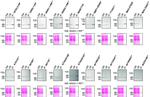 TDP-43 Antibody in Western Blot, Immunoprecipitation (WB, IP)