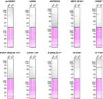 Ubiquilin 2 Antibody in Western Blot (WB)